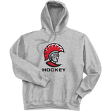 University of Tampa Ultimate Cotton - Pullover Hooded Sweatshirt