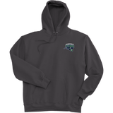 Kensington Valley Raiders Super Heavyweight Fleece Hoodie