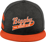 Biggby Coffee AAA New Era Shadow Heather Striped Flat Bill Snapback Cap