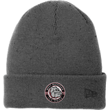 Ice Dogs New Era Speckled Beanie