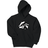 Allegheny Badgers Youth EcoSmart Pullover Hooded Sweatshirt